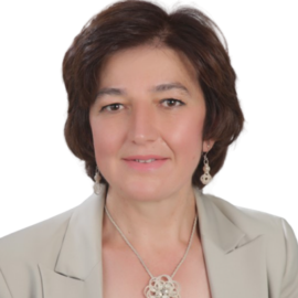 emine-kol-img